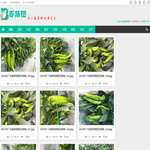 百蔬图（农科百蔬网）