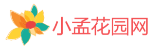 养花知识大全与技巧,家庭养花,种花养花,冬季养花,养花的好处